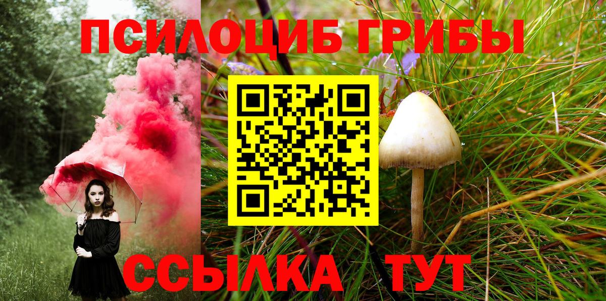 Пенза  Псилоцибиновые грибы Magic Shrooms  Вход с VPN 